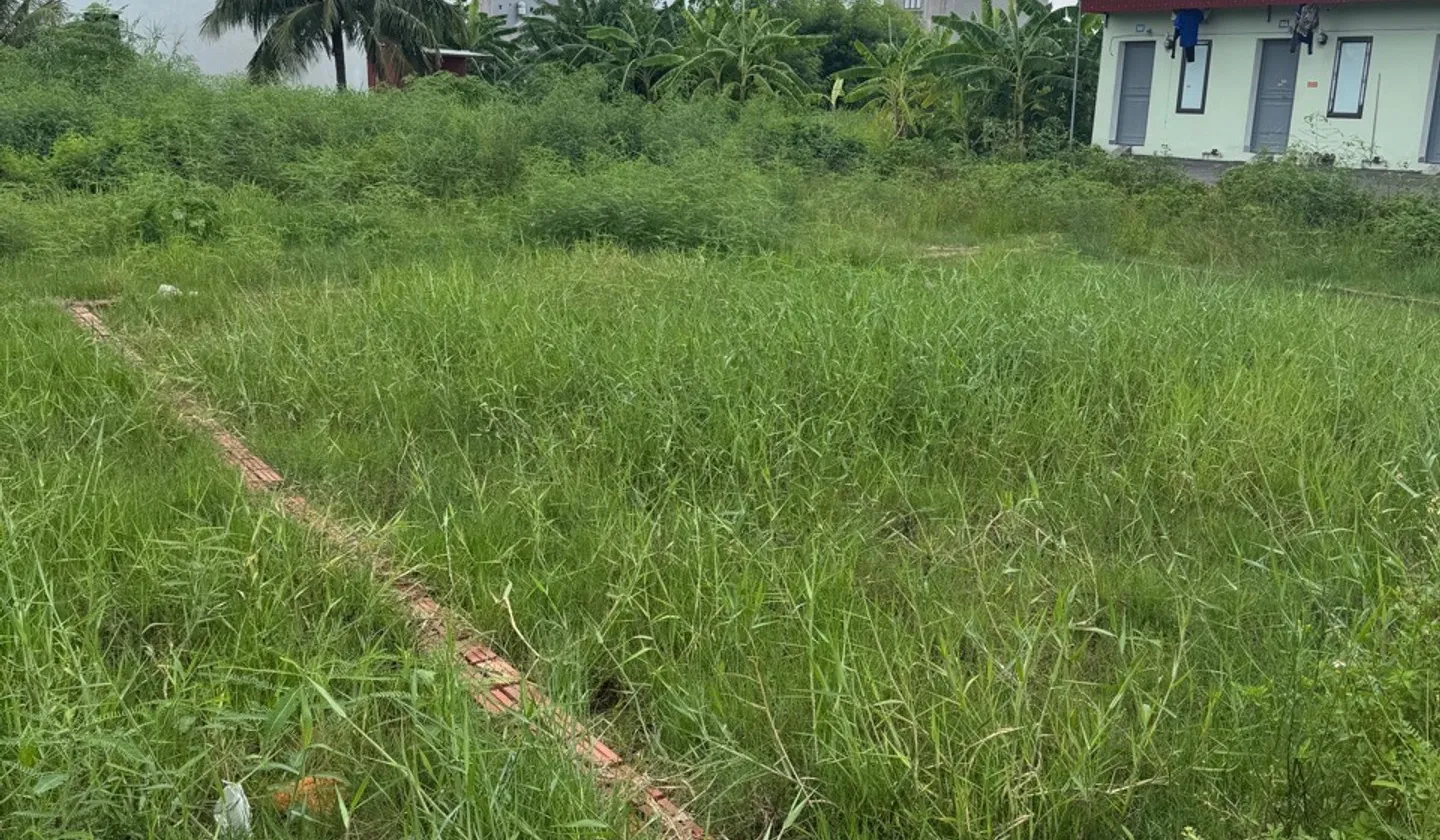 Lô đất vuông vắn ngã ba Đồng Nẻo, Minh Đức, Đồ Sơn... Bán đất tại Đồ Sơn, Hải Phòng 01