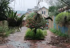 Cơ Hội Vàng Sở Hữu Nhà Mặt Phố Vị Trí Đẹp Tại Phù Linh Với Giá Hấp Dẫn... Bán nhà mặt phố tại Sóc Sơn, Hà Nội 13