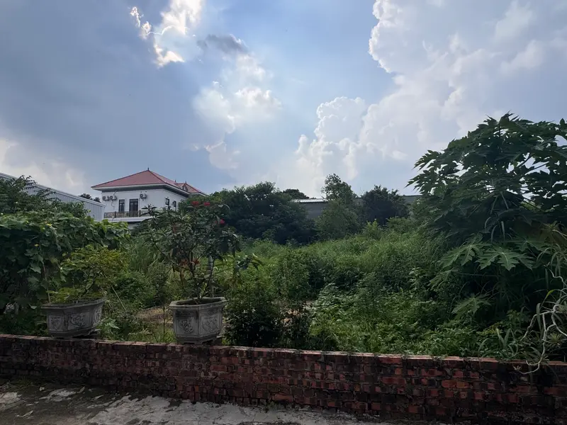 Bán đất mặt tiền 27m tại Thôn Phú Thịnh, phù hợp phân lô hoặc xây nhà vườn... Bán đất tại Kim Anh, Hà Nội 01