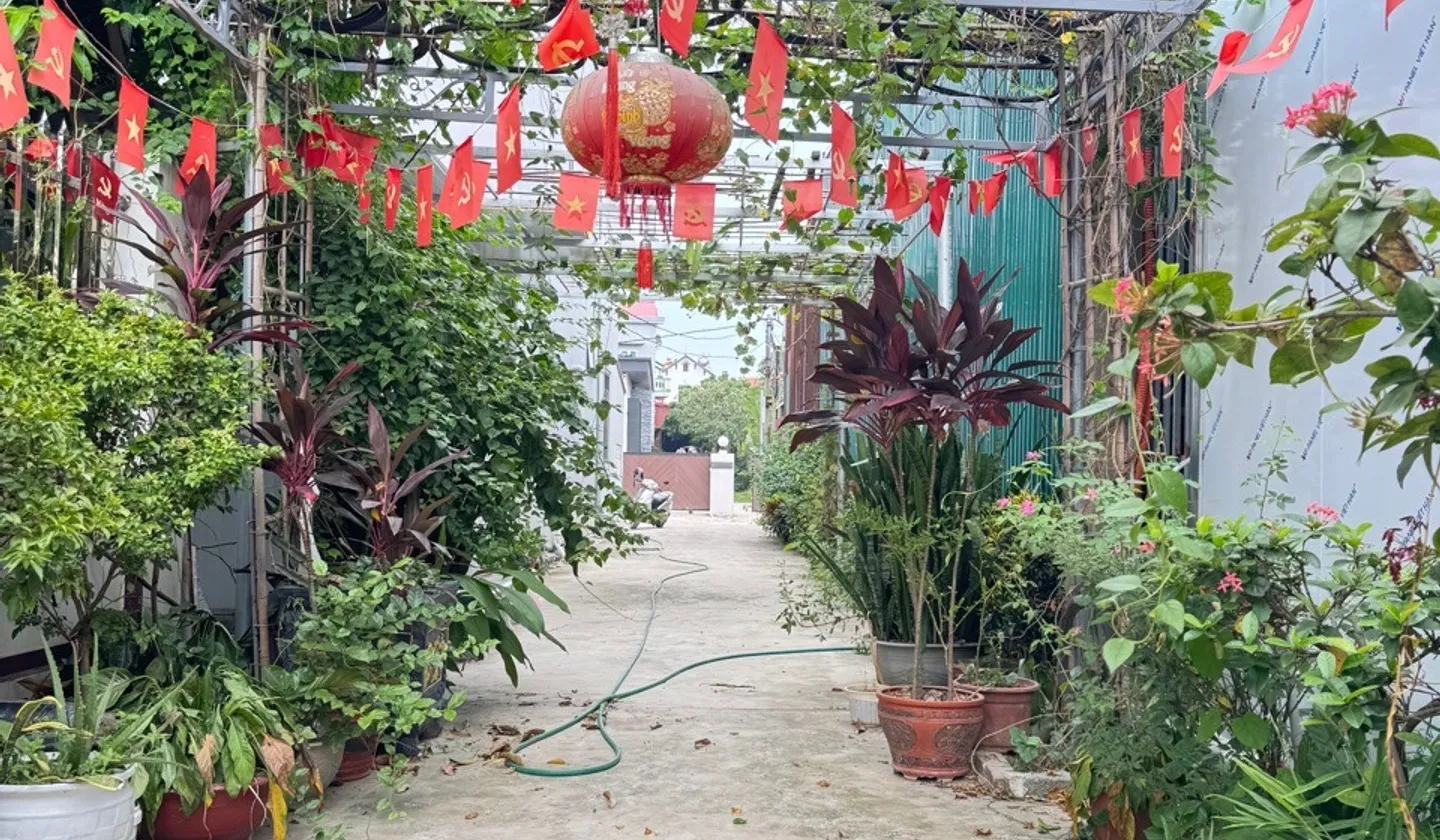 Đất Dược Hạ Tiên Dược Sóc Sơn 319m² – mặt tiền 16,2m – nhỉnh 15 triệu/m²... Bán đất tại Sóc Sơn, Hà Nội 01