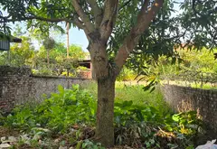 Cơ Hội Vàng Sở Hữu Nhà Vuông Vắn Tại Tân Dân Sóc Sơn Với Giá Cạnh Tranh... Bán nhà riêng tại Kim Anh, Hà Nội 03