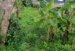 Đất đẹp rộng rãi, vị trí đắc địa, tuyệt vời cho cả an cư và đầu tư... Bán đất tại Kim Anh, Hà Nội 05