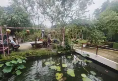 Nhà vườn siêu rộng tại Long Thới, Nhà Bè không gian yên tĩnh có sân vườn hồ cá coi... Bán nhà riêng tại Hiệp Phước, Hồ Chí Minh 16