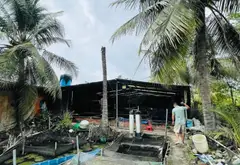 Bán đất CLN được chuyển thổ 2500m2 mặt tiền 50m tại Bình Chánh, đường container tiện đi lại... Bán đất tại Bình Lợi, Hồ Chí Minh 06