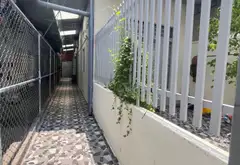 Cơ hội đầu tư hiếm có: Dãy phòng trọ kinh doanh sầm uất ngay gần mặt đường Đào Trí... Bán nhà riêng tại Phú Thuận, Hồ Chí Minh 02