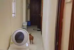 Bán nhà mặt phố tại Bình Trị Đông, Quận Bình Tân, 92m², giá 13 tỷ đồng... Bán nhà mặt phố tại Bình Trị Đông, Hồ Chí Minh 05