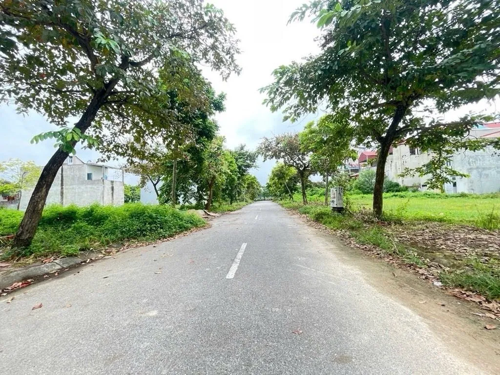 Cơ Hội Vàng: Nhà Mặt Phố Sóc Sơn Từ 5.82 Tỷ!... Bán nhà mặt phố tại Sóc Sơn, Hà Nội 01