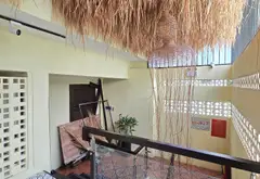 Nhà mặt tiền cho thuê đỉnh tại Quận 3 cũ, giá siêu hấp dẫn... Bán nhà mặt phố tại Xuân Hòa, Hồ Chí Minh 15