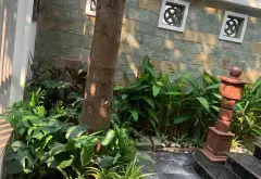 Biệt Thự Đẳng Cấp Vườn Đào Tây Hồ – Không Gian Sang Trọng, An Ninh Tuyệt Đối... Bán partner tại Tây Hồ, Hà Nội 15