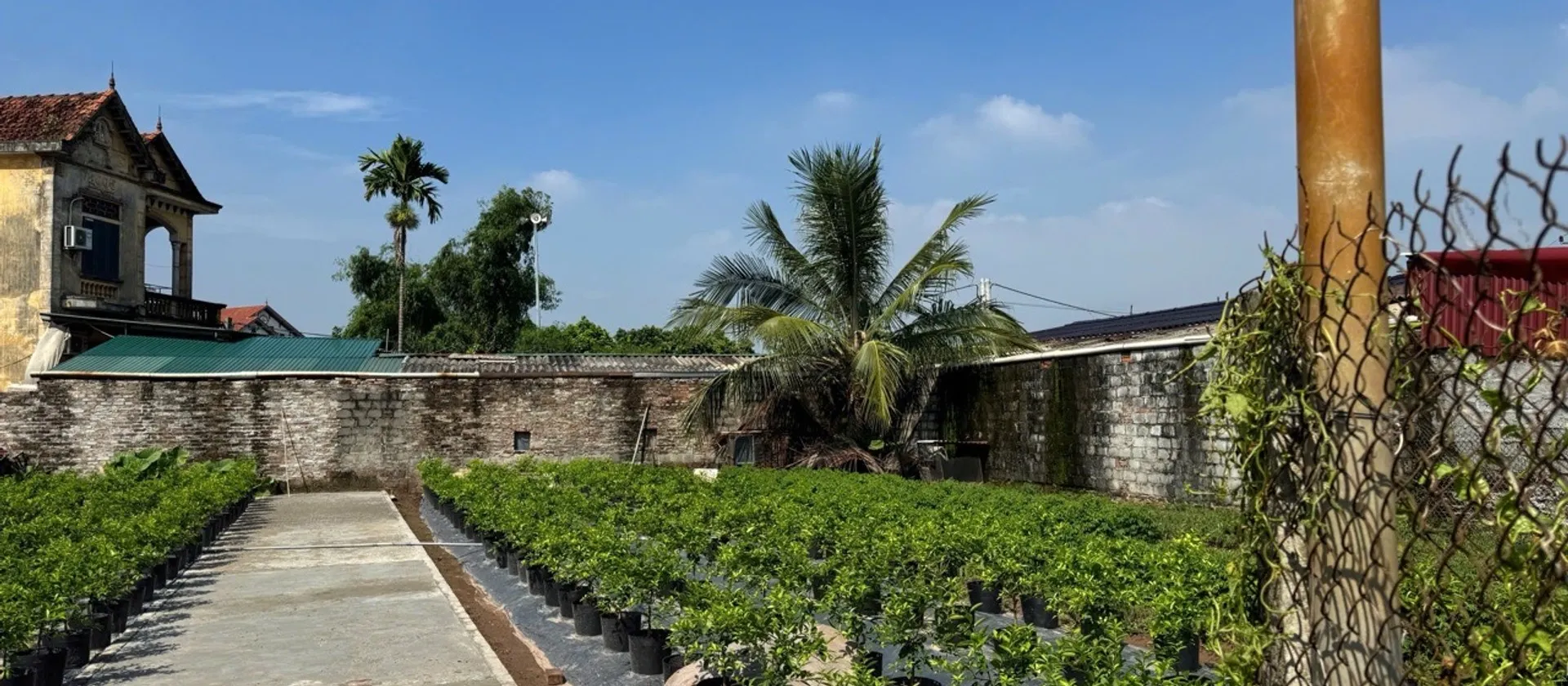 LK2 Thôn Bãi Sậy3 98m2Đất, mặt tiền 4.5m, dài 20m, giá 3.3 tỷ.... Bán đất tại Văn Giang, Hưng Yên 01
