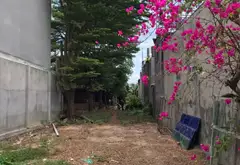 🔥 QUỸ ĐẤT 939,5M² – ĐÔNG THẠNH – CÓ 105M² ĐẤT Ở LÂU DÀI - 9,5 TY🔥... Bán đất tại Đông Thạnh, Hồ Chí Minh 01