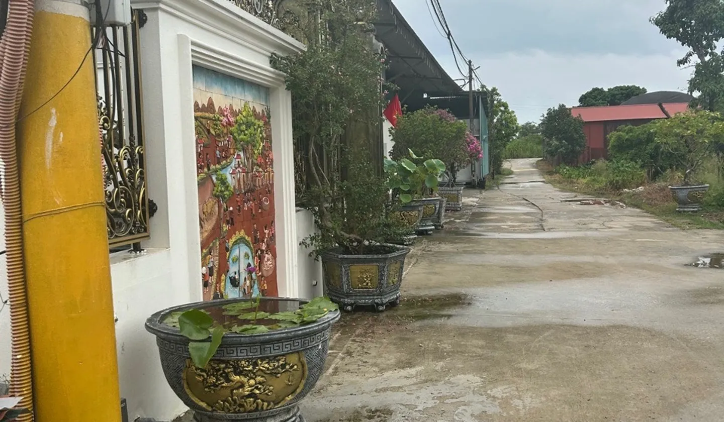 Cơ hội sở hữu lô góc nở hậu tại Thôn Vàng Thông, Gia Bình với giá không thể bỏ qua... Bán đất tại Gia Bình, Bắc Ninh 01
