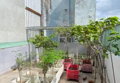 Bán nhà mặt phố 3 tầng Phường 11 Gò Vấp diện tích 71m2... Bán nhà mặt phố tại Thông Tây Hội, Hồ Chí Minh 07