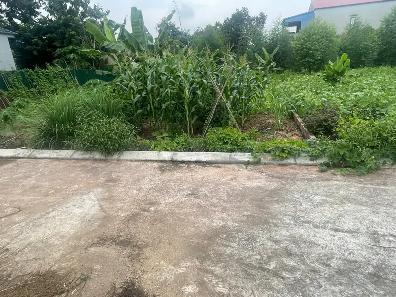 Đất nền tiện ích đầy đủ tại Ngõ Hòa Bình, Kim Anh... Bán đất tại Kim Anh, Hà Nội 01