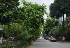 Nhà Mặt Phố Văn Khê - Vị Trí Kinh Doanh Vàng 50m2... Bán nhà mặt phố tại Hà Đông, Hà Nội 03