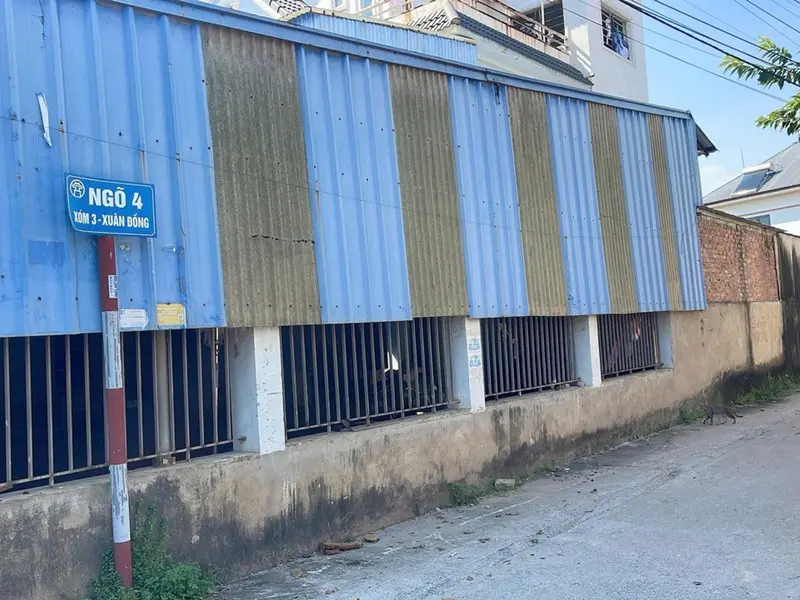 Lô đất góc siêu đẹp, ô tô đỗ tận đất tại Xuân Đồng... Bán đất tại Sóc Sơn, Hà Nội 01