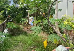 Bán đất thôn Giao Tất A, xã Phúc Sơn giá 3.95 tỷ... Bán đất tại Gia Lâm, Hà Nội 05