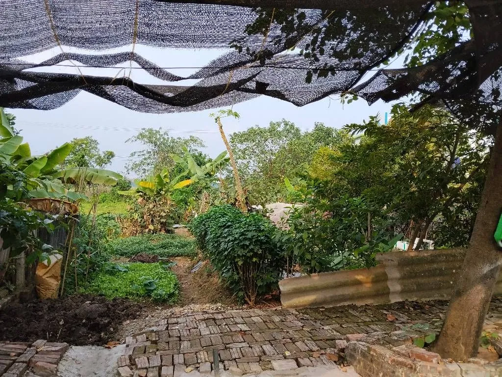 Bán đất lô góc xã Kim Chung, Kim Chung Lỗ, đường xe ô tô tránh, vị trí thuận lợi... Bán đất tại Thiên Lộc, Hà Nội 01