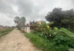 Thông số vàng đường thông ô tô đối diện khu đấu giá xuân lễ... Bán đất tại Kim Anh, Hà Nội 03