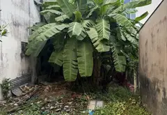 Cơ hội sở hữu đất vàng Quận 7 ngay Huỳnh Tấn Phát với giá cực tốt... Bán đất tại Phú Thuận, Hồ Chí Minh 13