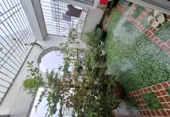 Bán nhà Đường 8m, Khu Phân Lô, Phạm Văn Bạch, 4 tầng 5PN... Bán nhà riêng tại Tân Sơn, Hồ Chí Minh 04