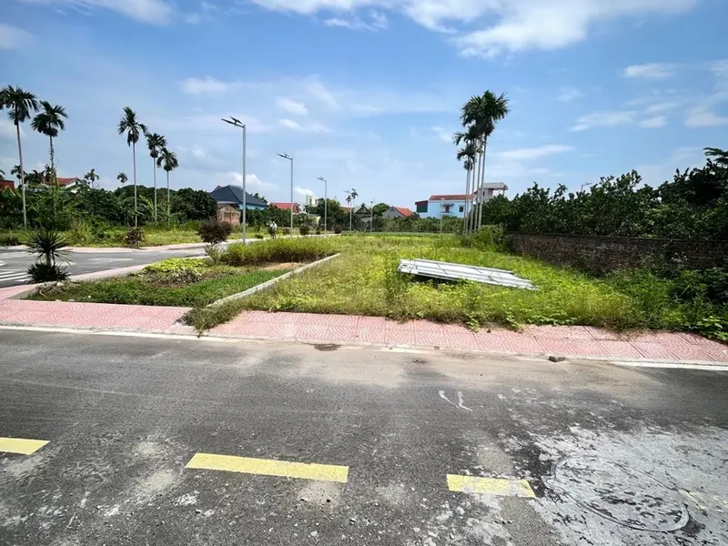 💥💥💥ĐẤT PHÂN LÔ, ĐƯỜNG THÔNG -VỊ TRÍ VÀNG,GẦN TỈNH LỘ 382 - CHỢ ĐẦU MỐI - XÃ HOÀN LONG - TỈNH HƯN... Bán đất tại Hoàn Long, Hưng Yên 01
