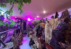 Nhà mặt phố 4 tầng diện tích 41m² tại phường Cầu Kiệu, Quận Phú Nhuận, giá 10.9 tỷ... Bán nhà mặt phố tại Cầu Kiệu, Hồ Chí Minh 12
