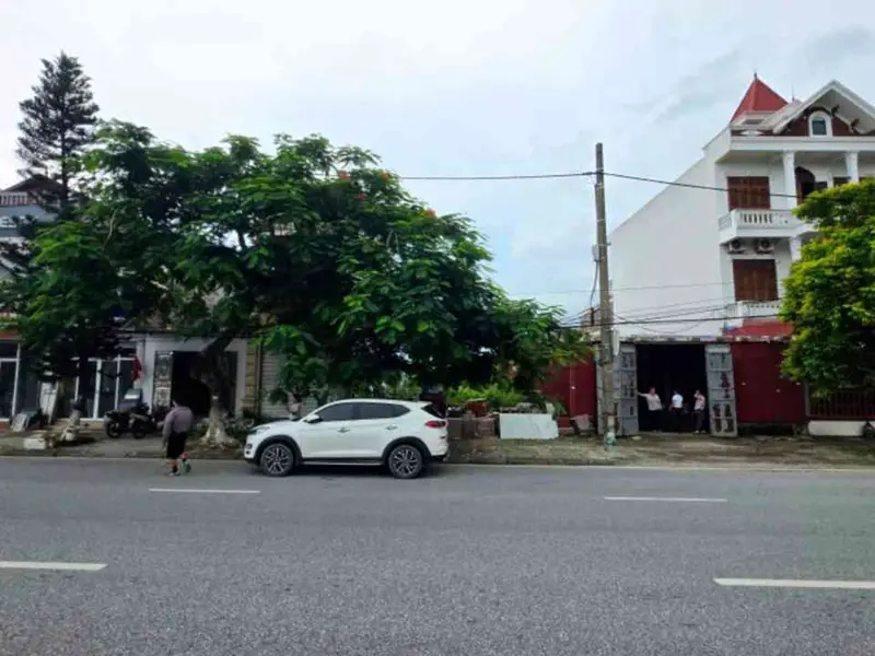 Đất Mặt Phố Phạm Văn Đồng - Cơ Hội Vàng Nam Hải Phòng... Bán đất tại Nam Đồ Sơn, Hải Phòng 01