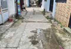 Bán nhà 2 tầng 3PN, 2WC tại Hóc Môn, sân rộng, giá 3.5 tỷ... Bán nhà riêng tại Xuân Thới Sơn, Hồ Chí Minh 05