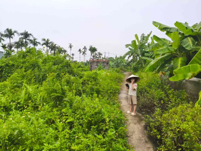 Lô đất vị trí thuận lợi tại phường Thiên Hương, Hải Phòng... Bán đất tại Thiên Hương, Hải Phòng 01