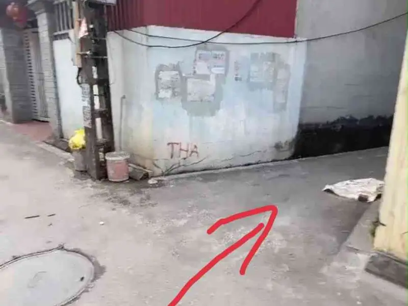 Bán đất xóm Dõng giá chỉ 4,05 tỷ - giảm sâu đến 150 triệu... Bán đất tại Đông Anh, Hà Nội 01