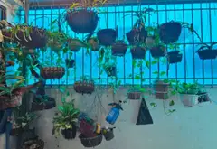 🔥🔥 NHÀ ĐẸP 3 THOÁNG – 33,4M² – 4 TẦNG + TUM – NGÕ RIÊNG LÀM CHỖ ĐỂ XE – THIẾT KẾ CỰC HỢP LÝ! 🔥🔥... Bán nhà riêng tại Sơn Đồng, Hà Nội 10