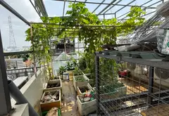 Cơ hội sở hữu nhà 4 tầng kiên cố tại Phú Thuận với giá tốt hiếm có... Bán nhà riêng tại Phú Thuận, Hồ Chí Minh 16