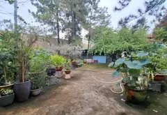 Nhà riêng kết hợp kho xưởng rộng 2680m2 tại khu vực Võ Văn Vân, pháp lý rõ ràng... Bán nhà riêng tại Tân Vĩnh Lộc, Hồ Chí Minh 07