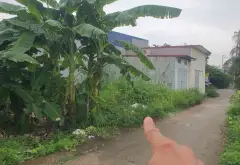 Lô Đất Mặt Tiền Rộng Sát Trục 203 - Thiết Kế Thả Ga... Bán đất tại Thủy Nguyên, Hải Phòng 12