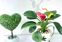 Bán nhà 2 tầng diện tích nhỏ tại Quận 8, giá 980 triệu... Bán nhà riêng tại Phú Định, Hồ Chí Minh 08