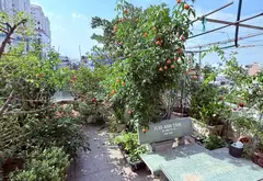 Bán nhà mặt phố Nguyễn Sơn 5 tầng, diện tích 42m2, giá 10 tỷ... Bán nhà mặt phố tại Phú Thọ Hòa, Hồ Chí Minh 11
