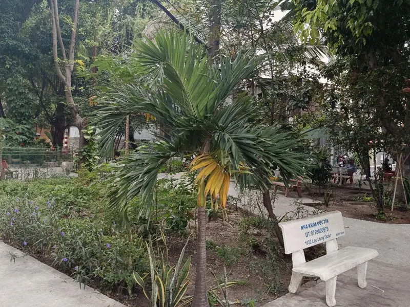 Đất lô góc Gò Cẩm Đệm giá tốt, nở hậu sáng tài lộc... Bán đất tại Bảy Hiền, Hồ Chí Minh 01