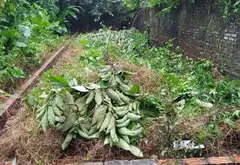 Đất thổ cư Vân Nội siêu đẹp, giá hợp lý - Sổ đỏ chính chủ... Bán đất tại Phúc Thịnh, Hà Nội 06