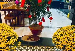 Căn Nhà CHDV Sang Trọng Giữa Gò Vấp, Giá Ưu Đãi! 💥... Bán nhà riêng tại An Hội Đông, Hồ Chí Minh 07