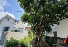 🔥 BÁN ĐẤT BẰNG NHA MỄ SỞ – HƯNG YÊN | 125M² – MT 7M – TRỤC CHÍNH KINH DOANH - ĐƯỜNG 8M Ô TÔ TRÁNH... Bán đất tại Mễ Sở, Hưng Yên 01