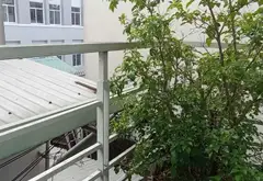 Bán nhà 2 tầng 73m2 tại phường 3, Bình Thạnh giá 8.5 tỷ... Bán nhà riêng tại Gia Định, Hồ Chí Minh 15