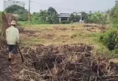 Bán đất 3100m đường nhựa, có 1000m thổ cư, Đông Thạnh, Hóc Môn... Bán đất tại Đông Thạnh, Hồ Chí Minh 03