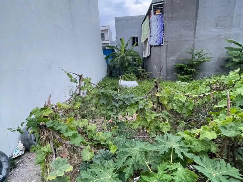 Bán đất phường Long Trường, Hồ Chí Minh, diện tích 90.3 m2, hẻm ô tô, pháp lý cơ sở... Bán đất tại Long Trường, Hồ Chí Minh 01