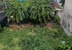 Nhà mới xây kiên cố. 2 lầu 420 . SHR chính chủ 1/ Tô ký. Tặng nội thất,dọn vào ở ngay... Bán nhà riêng tại Đông Thạnh, Hồ Chí Minh 17