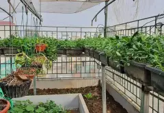 Cơ hội sở hữu nhà liền kề vị trí vàng tại Văn Quán giá tốt hiếm có 70m2, 6 tầng.... Bán biệt thự, liền kề tại Hà Đông, Hà Nội 08