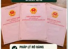 QUỸ ĐẤT HIẾM AN PHÚ ĐÔNG Q.12 – 1.169M² – NGANG 31M CHỈ 62 TỶ... Bán nhà riêng tại An Phú Đông, Hồ Chí Minh 03