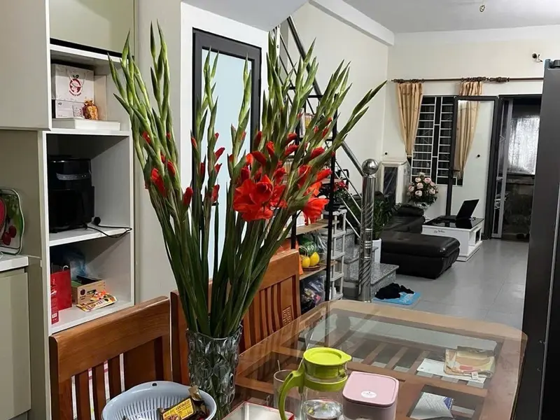 Bán nhà 3 tầng, lô góc 3 thoáng, diện tích 40m2 tại Vạn Phúc, giá 5,56 tỷ đồng... Bán đất tại Nam Phù, Hà Nội 01