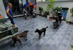 Bán nhà mặt phố diện tích 266m2 tại Nhị Bình, Hóc Môn... Bán nhà mặt phố tại Đông Thạnh, Hồ Chí Minh 10