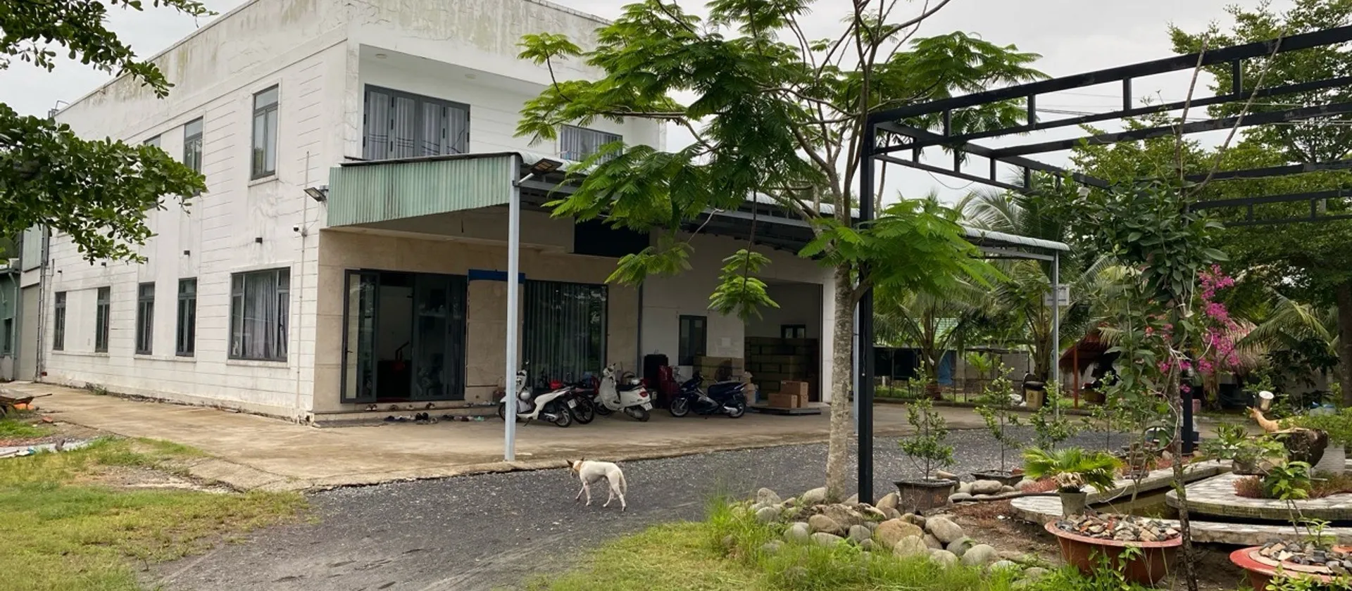 Bán nhà xưởng 4800m đường nhựa xe tải thông Bà Điểm, Hóc Môn... Bán nhà mặt phố tại Bà Điểm, Hồ Chí Minh 01